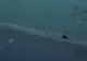 Un fragment de avion găsit pe o plajă a Insulei Reunion ar putea fi al cursei malaysiene dispărute