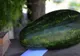 A luat un pepene, l-a întors pe toate părţile, apoi a făcut asta! E înfricoşător! Cum a fost posibil