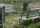 Descoperire macabră într-un parc din Timişoara