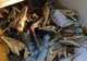 Au găsit un frigider abandonat pe câmp. L-au deschis și s-au cutremurat când au văzut ce e în el