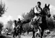 "Aferim! ", de Radu Jude - propunerea României la Oscar 2016