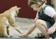 Animalele de companie şi copiii. Îi luam unul sau nu?