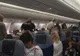 Aterizare de urgenţă! Ce a luat cu ea în avion o femeie întrece orice imaginaţie!