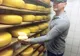 S-a lansat brânza de scroafă. Prețul unui kilogram, o mică avere