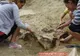 Sit arheologic aproape distrus, la Vaslui: "Nouă, românilor, ne lipseşte educaţia"