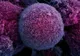 Descoperirea care oferă o nouă rază de speranţă bolnavilor de cancer. Ce au reușit savanții din SUA 