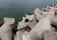 Incident șocant de Ziua Marinei. O fată de 14 ani a căzut în cap de pe un dig