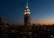 Animație de senzație pe Empire State Building. Imagini uriașe cu animale pe cale de dispariție