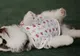Cel mai adorabil proiect din Rusia: parada modei în patru labe