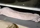 Cum să îţi răcoreşti camera pe caniculă. Trucuri simple şi eficiente