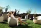 Reduceri eMAG la mobilier de grădina și accesorii – 40% discount