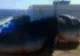 Terifiant! Un monstru marin a fost scos din adâncuri. Şi mort oamenii se îngrozesc când il văd!