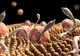 Mare atenție! Acestea sunt simptomele infecţiei cu paraziţi intestinali
