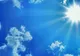Meteo. Vremea este foarte caldă. Ce zone vor avea din nou temperaturi de 30 de grade Celsius