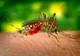 Virusul Zika, fără leac cunoscut: ce trebuie să ştii despre simptome, transmitere şi prevenire