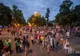 Au făcut sex la Untold Festivalul. Scene interzise, filmate cu telefonul mobil 
