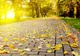 Prognoza meteo pe 3 luni. Cum va fi vremea în lunile septembrie-noiembrie. Temperaturi neobişnuite 