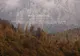 Wild Carpathia, în impas. Echipa documentarelor cere ajutorul românilor pentru a promova România