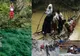 Văd moartea cu ochii în fiecare zi. Cele mai periculoase drumuri spre școală