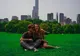 Adela Popescu și Radu Vâlcan în luna de miere la New York