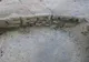 Descoperire unică a arheologilor. Ar putea schimba istoria lumii