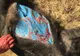 Imaginile care au făcut înconjurul lumii. Animal bizar, cu grăsime albastră, vânat în sălbăticie 