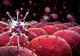 Doctorilor nu le-a venit să creadă. Alimentul banal cu care o femeie s-a vindecat de cancer