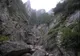 Tragedie în munții Bucegi: Cine era tânăra atacată MORTAL de urs. Animalul a fost împușcat