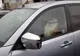 Un căţel, închis în maşină de stăpân. Trecătorii, uluiţi de modul în care animalul a cerut ajutor