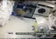 Panică într-un hotel din SUA, din cauza unei căprioare. Ce a făcut aceasta