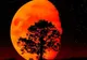 ECLIPSA DE SUPER LUNA, 28 SEPTEMBRIE. Omenirea va face un salt în evoluţie. Va începe o nouă eră