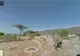 Google Street View le oferă internauţilor posibilitatea să se "plimbe" printre elefanţi