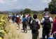 Criza imigranților. Austria a trimis peste 5.000 migranți în alte state europene. România, vizată