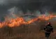  Incendiu de proporţii. Zeci de hectare cultivate, distruse de foc, în vestul ţării