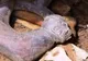 Descoperire uimitoare în Peru: mormântul preoților "șarpe-jaguar"