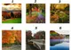 TEST: Alege una dintre imagini şi vei afla ce se întâmplă în viaţa ta, în această toamnă