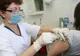 Primul caz de gripă, confirmat la Iaşi. Avertismentul medicilor