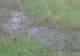 Misterul ochiului de apă care nu îngheaţă niciodată. Capcana pământului mişcător din Sălaj