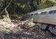 Tren deraiat în Statele Unite: Cel puțin patru pasageri au fost răniți