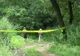 Bărbat, găsit mort într-o pădure lângă Botoșani. Polițiștii sunt șocați! Cum au descoperit cadavrul