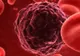 Principalele alimente care previn şi vindecă boli grave precum cancerul