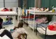 Numărul actelor de violență împotriva centrelor de refugiați din Germania, în creștere puternică 