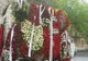 Doliu în lumea artistică. Un interpret de muzică populară a fost găsit mort în mașină