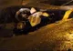 Un poliţist a murit în Bucureşti. A căzut într-o groapă rămasă după o lucrare la o conductă