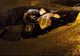 Cazul poliţistului mort: IPP cere demisia lui Gabriel Oprea