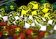 REZULTATE LOTO, LOTO 6 DIN 49, LOTO 6/49. NUMERELE CÂŞTIGĂTOARE duminică, 18 octombrie