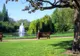 E incredibil cum arată cel mai mic parc din lume. Lumea nici nu-l observă
