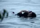 Soția și mama lui se înecau, așa că a trebuit să aleagă. Pe cine a salvat mai întâi