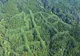 Un semn misterios anunță ce e mai rău. A apărut într-o pădure din China și se vede din satelit
