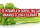 Ce se întâmplă în corpul tău atunci când mănânci ţelină cu lămâie  